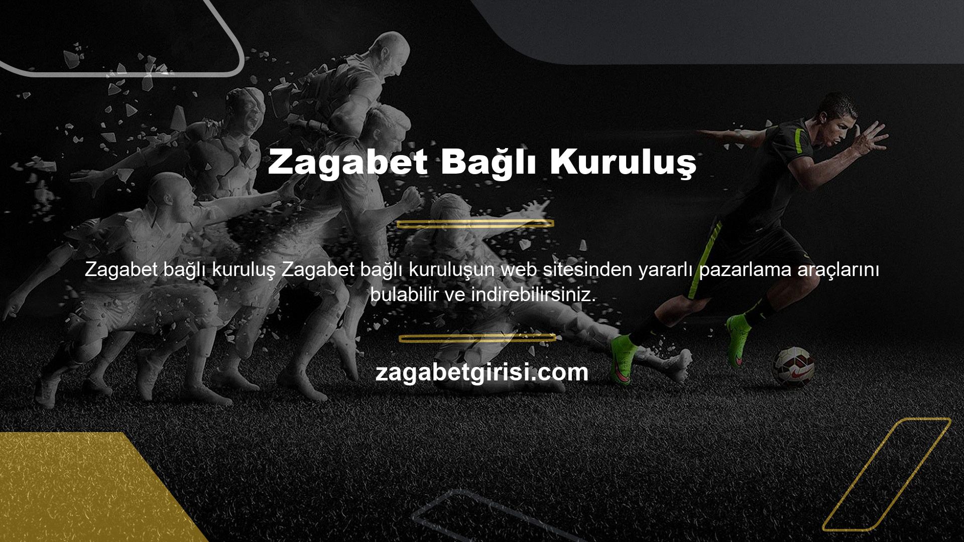 Anlamanız gereken ilk şey, web sitenizi kullanan her kişi için ne kadar para alacağınızdır